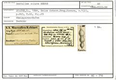 Karteikarte zum Abbildungsoriginal von Dentalina soluta Reuss, 1851